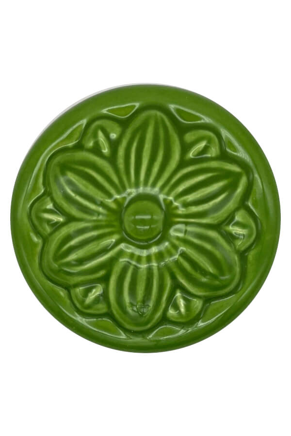 HLT 305 - Glossy Light Green